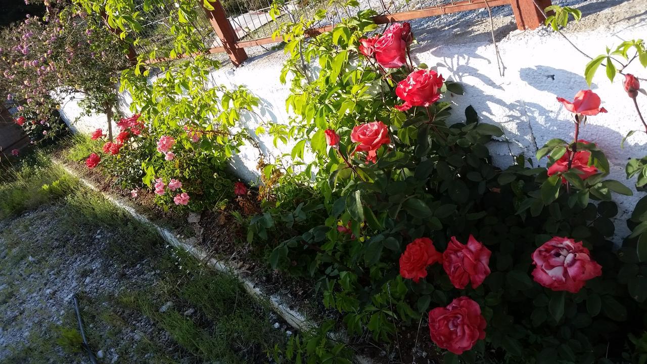 Guesthouse Rondo 希马拉 外观 照片